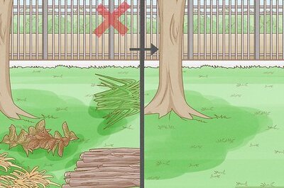 How to Keep Snakes Away