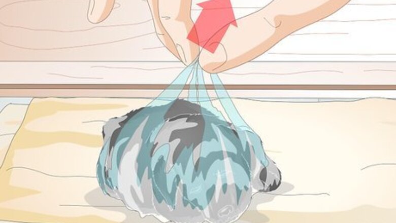 How to Keep Orphaned Newborn Puppies Clean