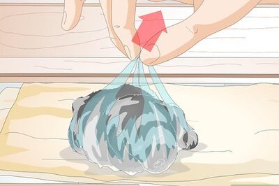 How to Keep Orphaned Newborn Puppies Clean