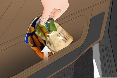 How to Get Ants Out of Your Car