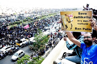 TN Govt Files Caveat in SC to Defend its Ordinance on Jallikattu