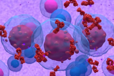 World Marrow Donor Day 2023: Highlighting Stem Cell Transplants in Blood Cancer Care