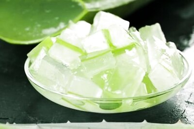Aloe Vera May Have Beneficial Effects For Diabetics