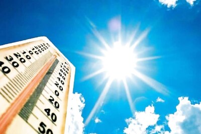 Is Earth Becoming Too Hot for Humans? Scientists Weigh In On Climate Change Impact