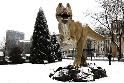 Dinosaur Extinction: Sulphuric Acid Clouds Killed Dinosaurs