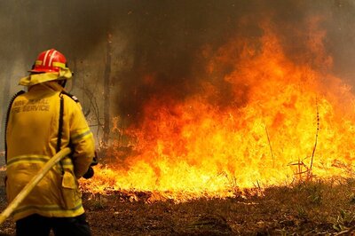 Australians Could Become 'Climate Refugees' as Bushfires Turn Country Hot & Dry