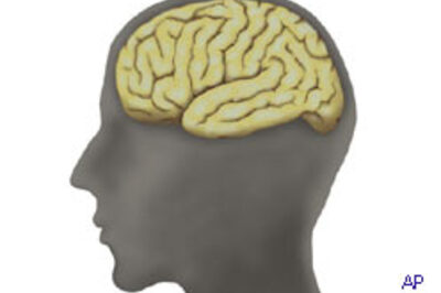 Sleep less, have a weak memory