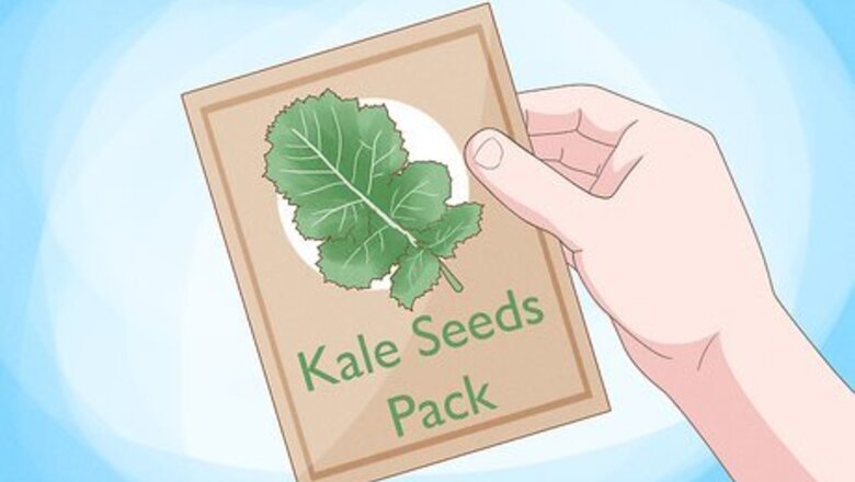 How to Start a Hydroponic Garden