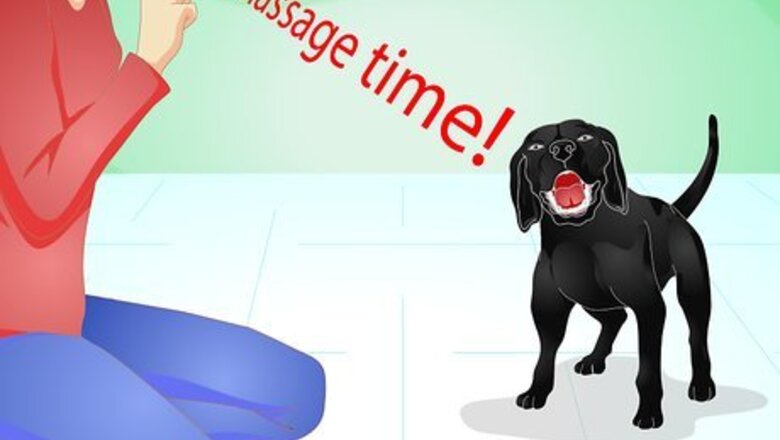 How to Give Your Dog a Massage