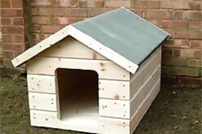 Granny locked boy in kennel for 3 yrs