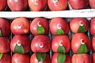 Govt Allows 5 Pvt Firms For Cluster Farming With Rs 750 Cr Investment; Check All Details Here