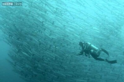 British diver spends two days under water