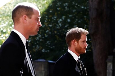 Diana Statue Event May 'Break Ice' for Prince William and Harry, Says Royal Biographer