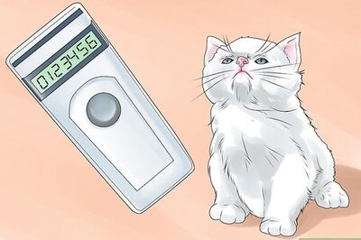 How to Inject a Microchip Into a Pet