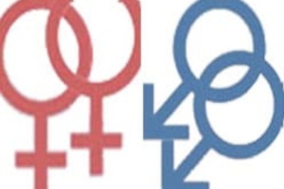 Gay diplomats put MEA in big dilemma