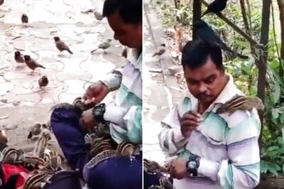 Watch: Man Feeding Squirrels And Birds Is The Most Beautiful Thing On Internet Today