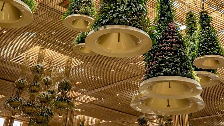 Green And Bear It: How KIA's New 'Terminal in A Garden' Has Planted The Seeds for Blossoming of Bengaluru