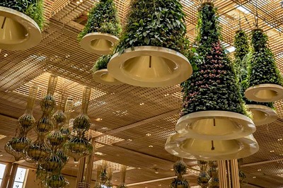 Green And Bear It: How KIA's New 'Terminal in A Garden' Has Planted The Seeds for Blossoming of Bengaluru