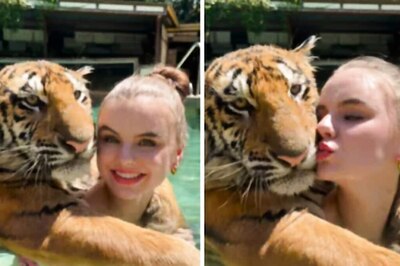 California Zoo Owner Shares Viral Video Swimming With Tiger