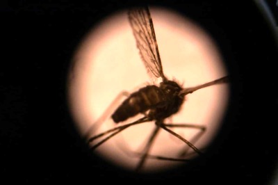 Team Co-led by Indian Scientists Solves 100-year-old Mystery of How Malaria Affects Brain
